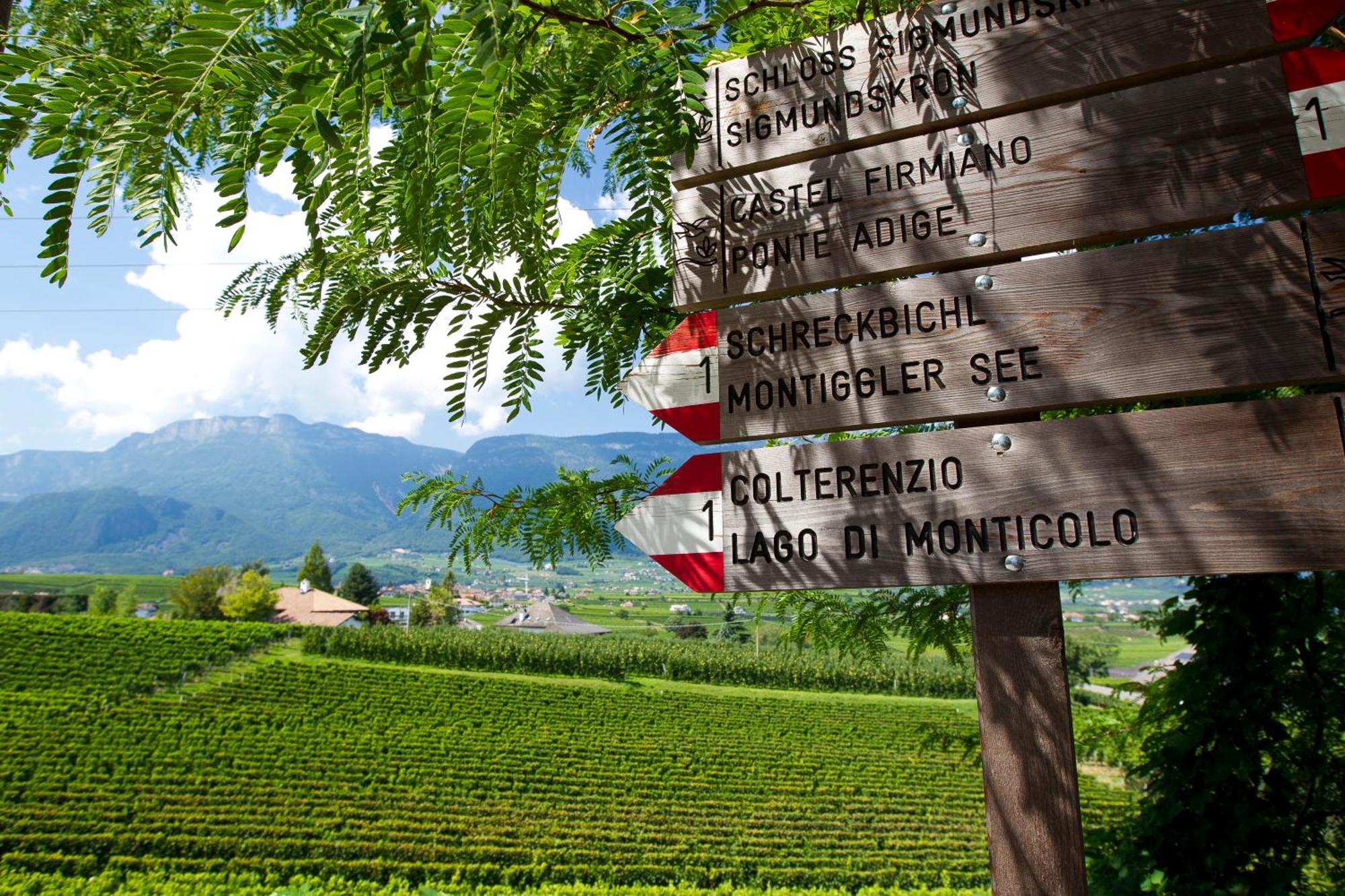 Hotel Girlanerhof Appiano Sulla Strada Del Vino Esterno foto